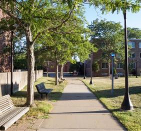 Honeylocusts line the walkway outside of Bulger Communication Center.