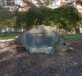A group of Japanese maples surrounds the plaque detailing the Arboretum's dedication to Maud Gordon Holmes.