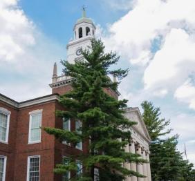 Two magnificent, gigantic eastern white pines stand tall on either side of the front entrance of Rockwell Hall.
