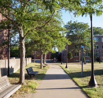 Honeylocusts line the walkway outside of Bulger Communication Center
