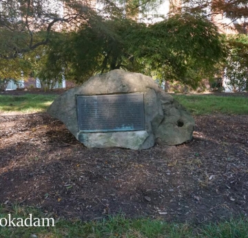 A group of Japanese maples surrounds the plaque detailing the Arboretum's dedication to Maud Gordon Holmes.
