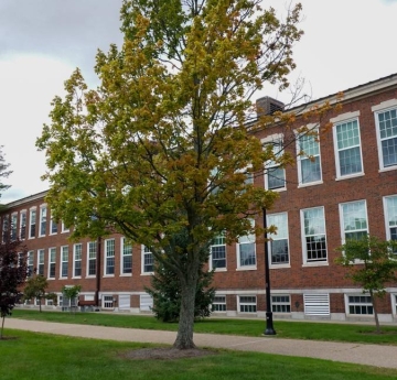 A red maple outside of Bacon Hall.