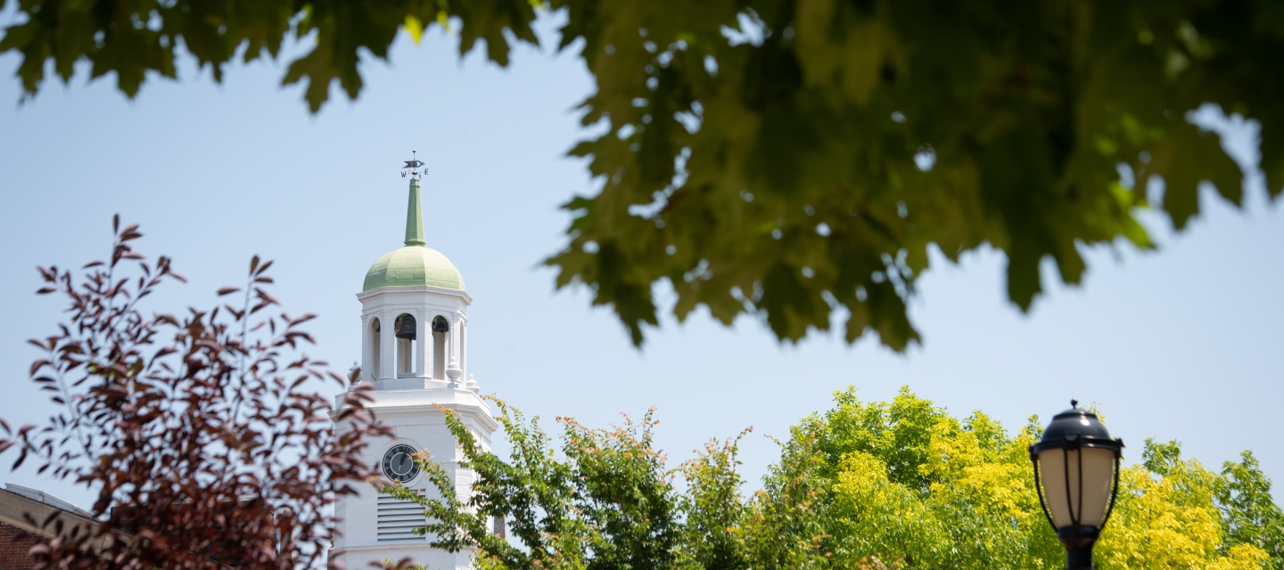 Buffalo State's Rockwell Hall white clock tower with a green dome rises above a lush green landscape, framed by dark green leaves and a clear blue sky.