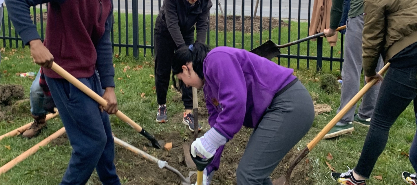 Stdents digging a tree pit Big Dig V